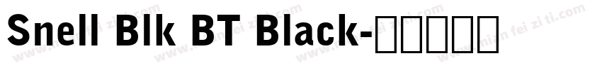 Snell Blk BT Black字体转换